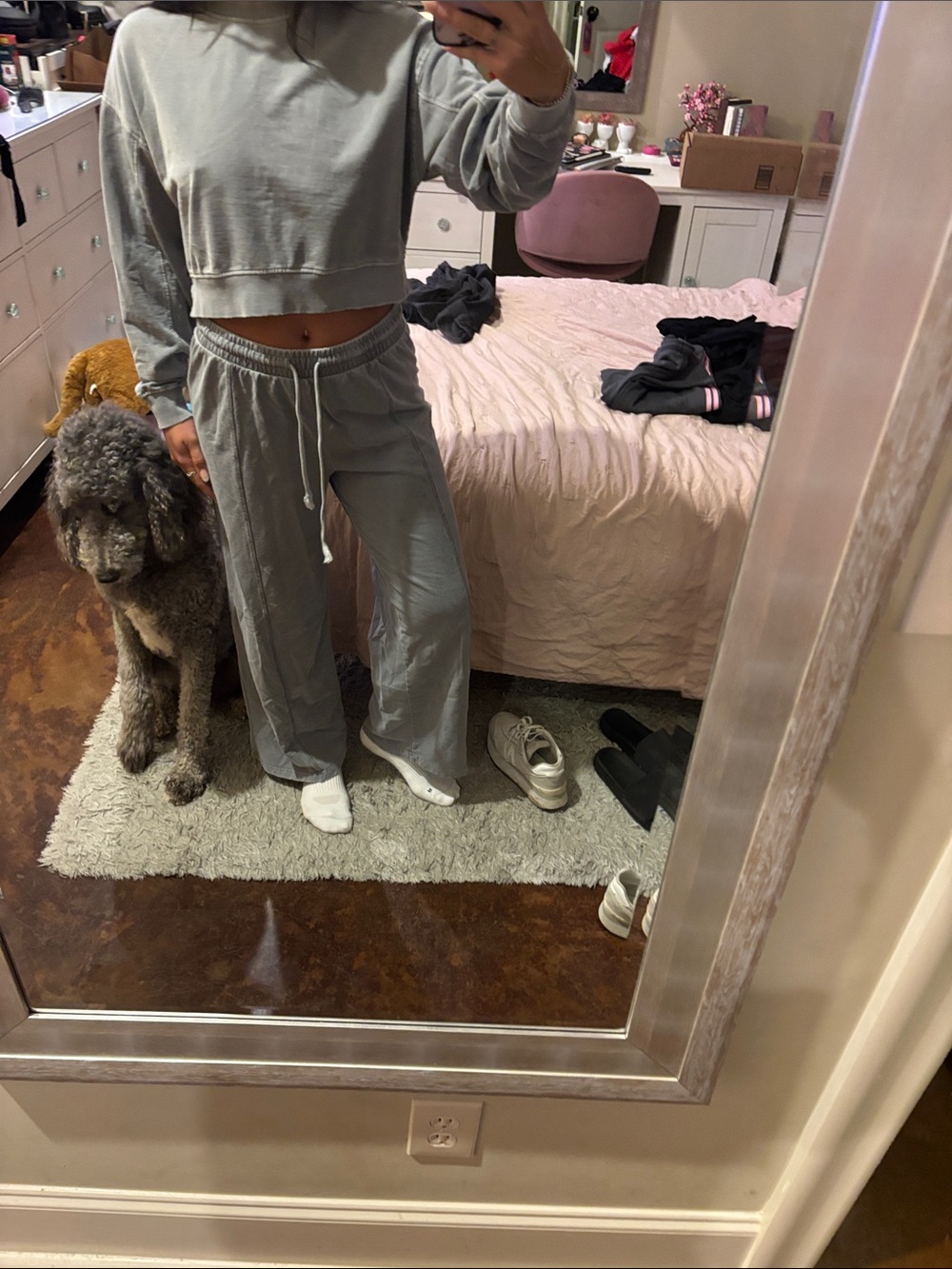 Light Gray Cropped Sweatshirt & Wide Leg Lounge Set